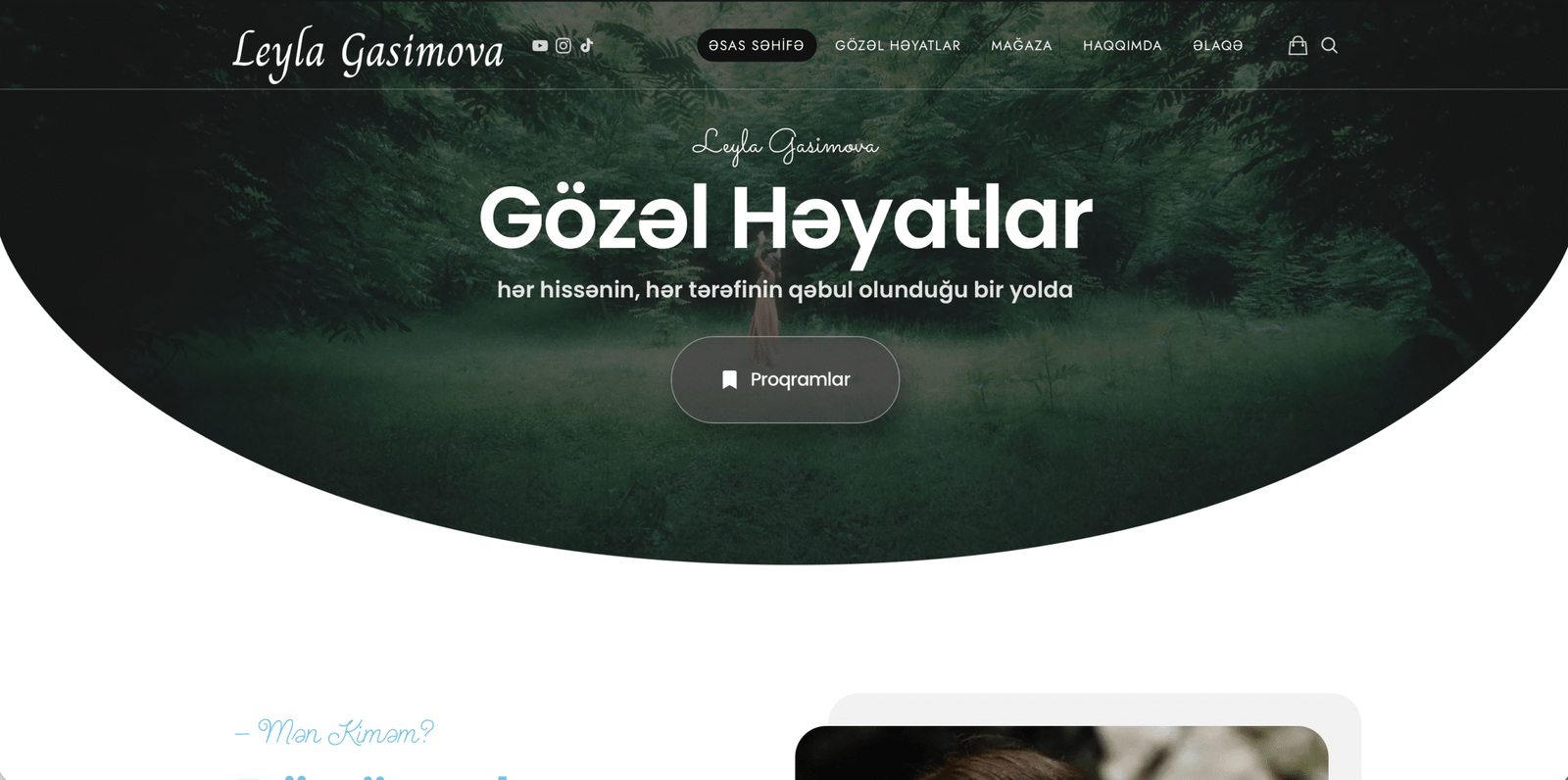 Leyla Gasimova – Website